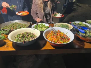 פריסות, פריסות בטבע